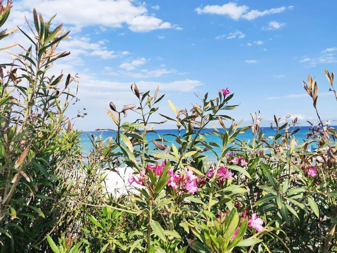 Overlookingsea Lido di Noto Екстериор снимка